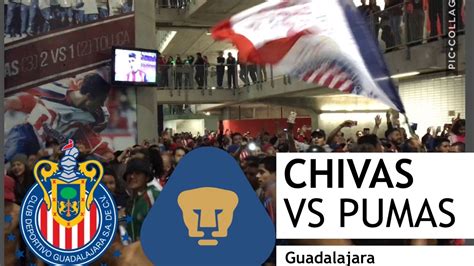 partido chivas vs pumas - chivas vs atletico san luis